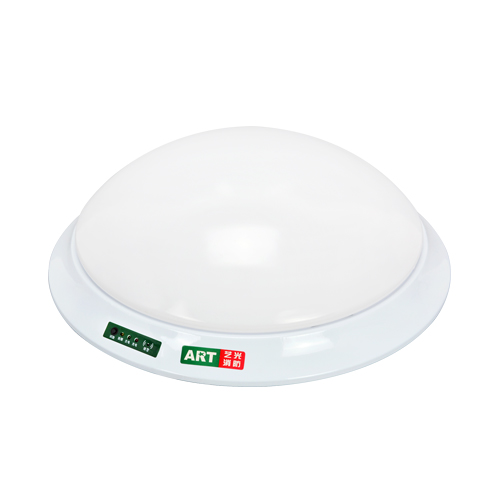 艺光消防应急吸顶灯-2G-3W/6W/9W