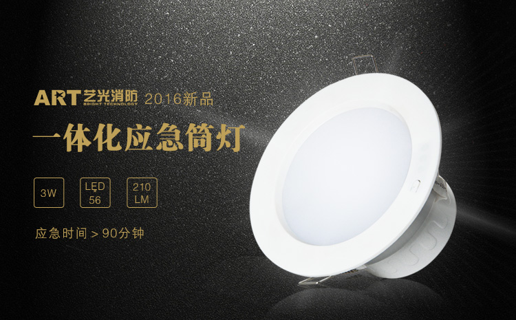 艺光消防应急筒灯 艺光消防应急筒灯