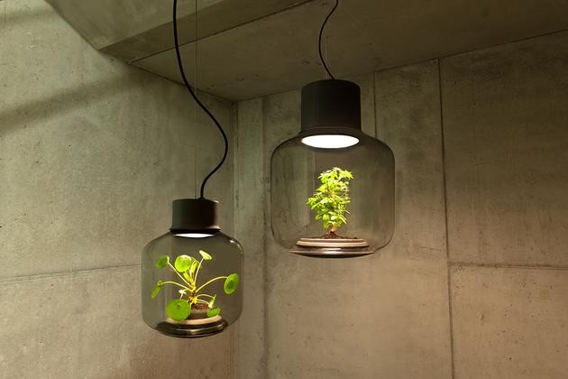将植物放在一款密闭的LED灯具中能持续生长吗？