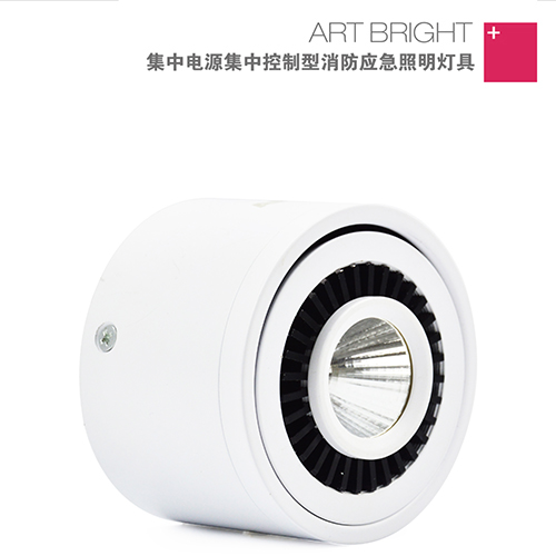 艺光智能消防集中电源集中控制型应急照明灯 S1707