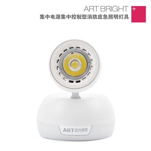 智能消防集中电源集中控制型应急疏散照明筒灯 S1708