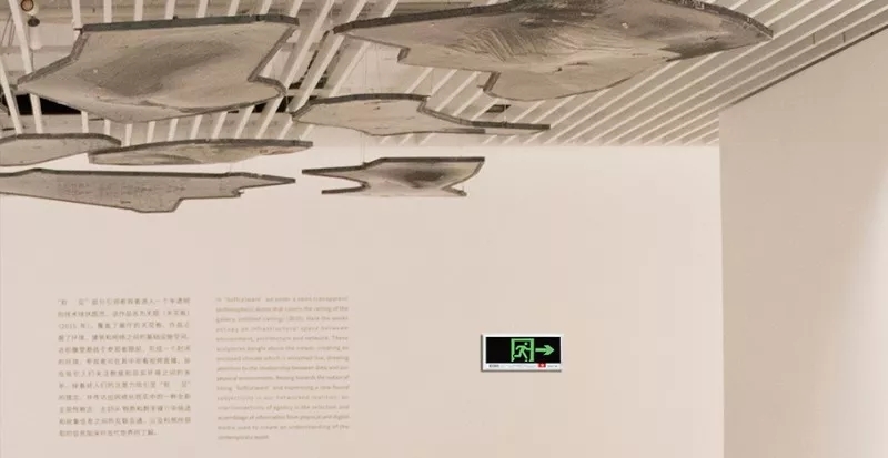 1.webp (3).jpg