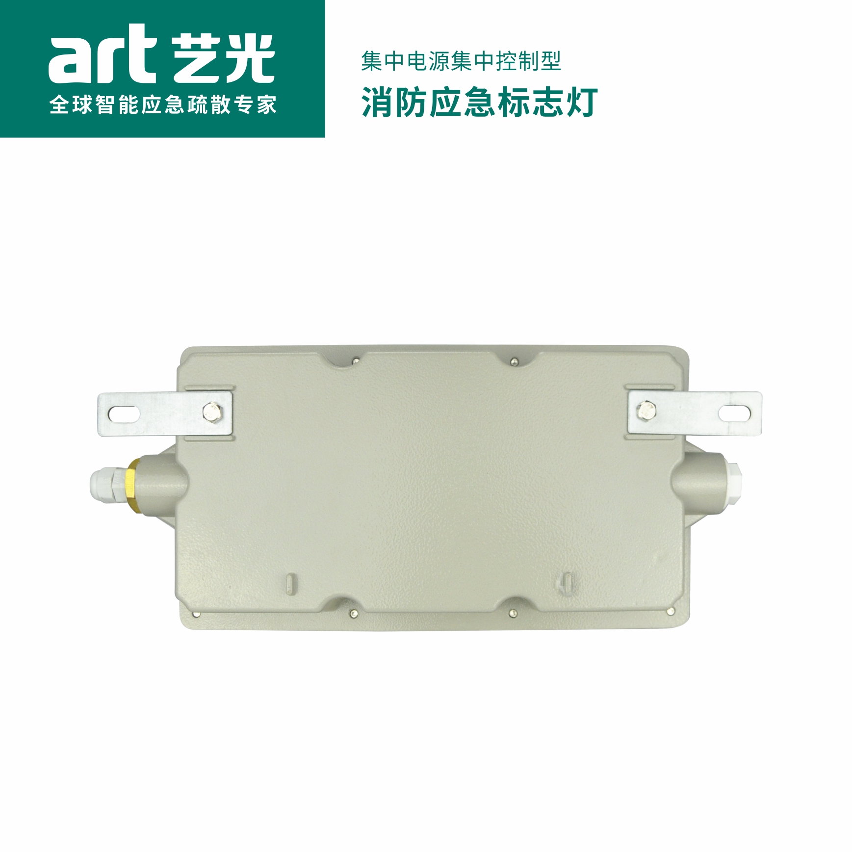 集中电源集中控制型消防应急标志灯具 S2010（防爆款）